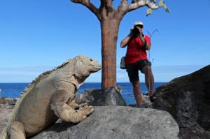 Ecuador | Galapagos - Faszinierende Wunderwelten – Anden, Amazonas und Galapagos